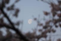 img1