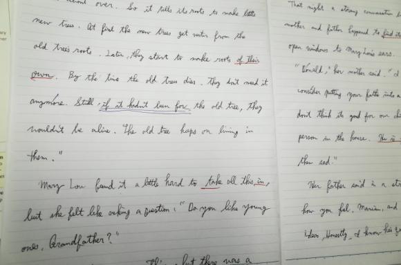 英語の予習の仕方 尾崎塾 富田教室