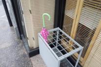 img1
